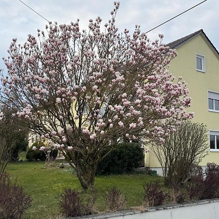 W&P Living Wohnung Mit Ausblick - Parkplatz Biberbach (Bavaria) Exterior foto