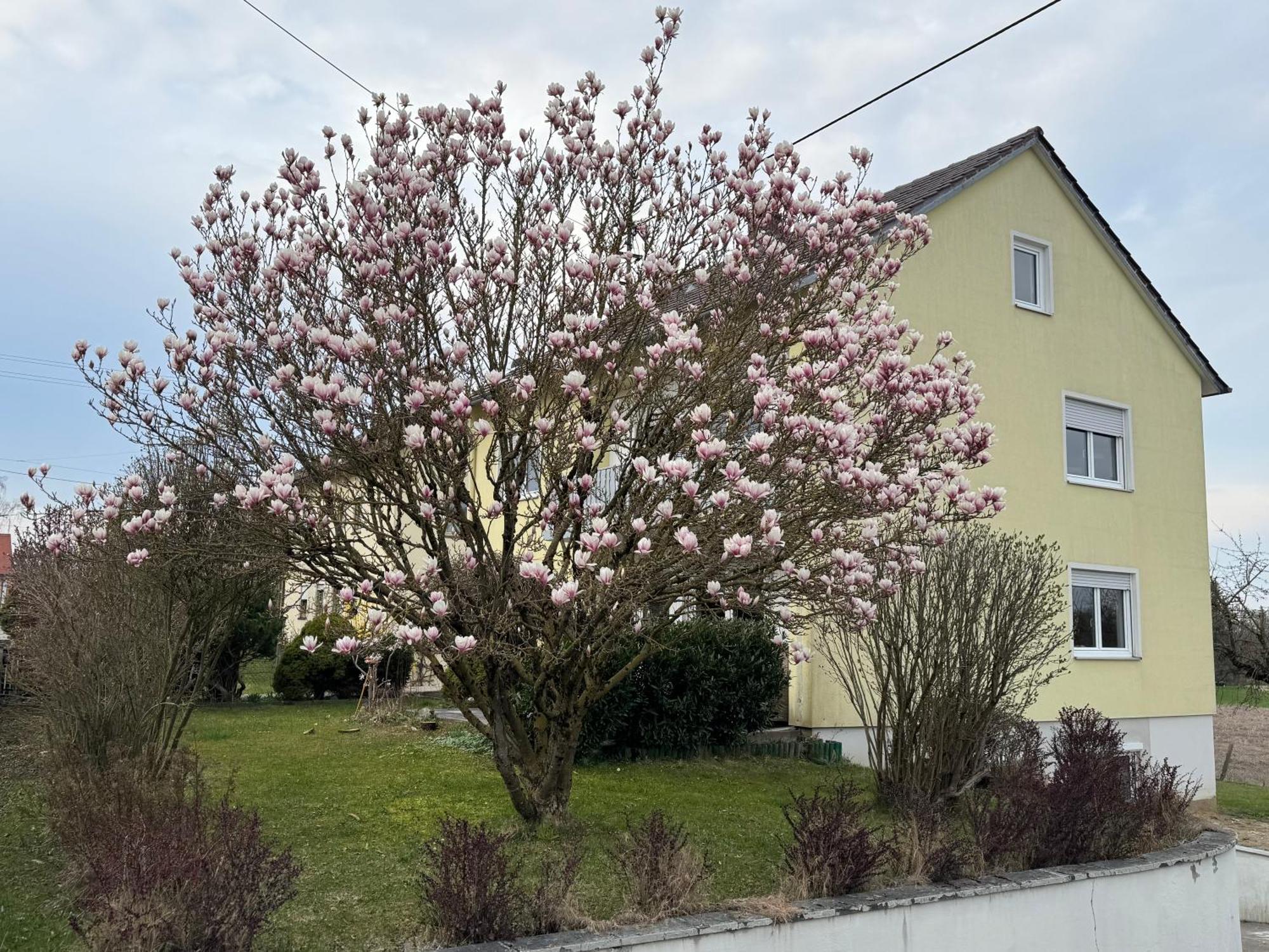 W&P Living Wohnung Mit Ausblick - Parkplatz Biberbach (Bavaria) Exterior foto